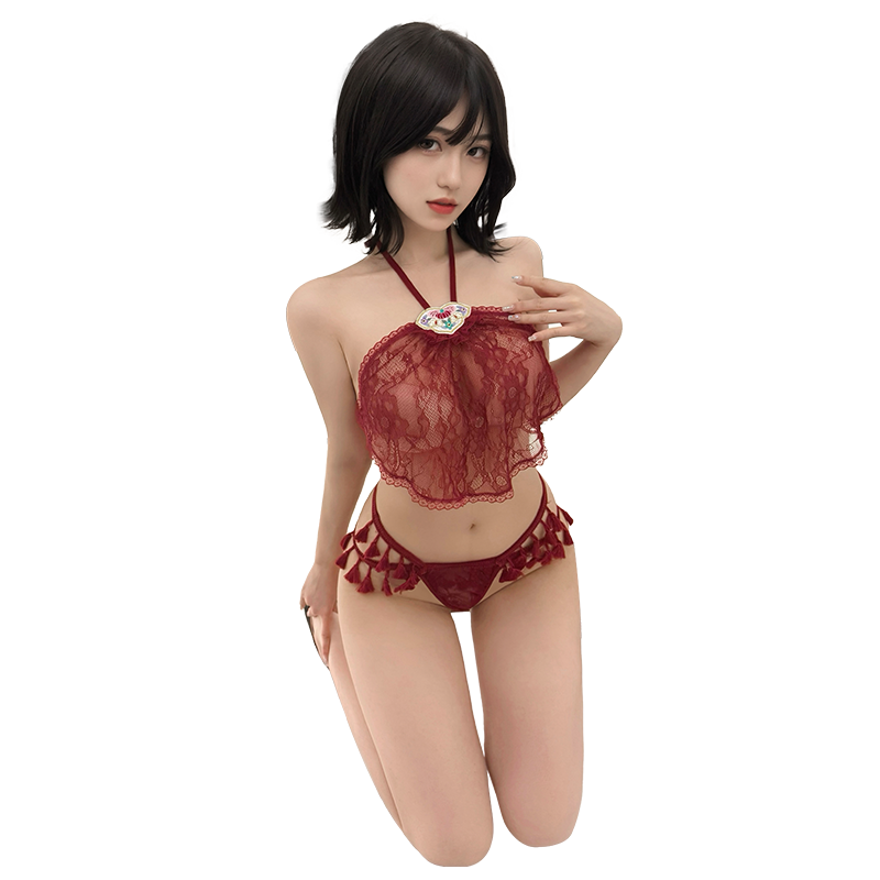 Sensual Chinese Style Sheer Lace Lingerie Set for Women - Embroidered Halter Top & Bikini Bottoms for Date Night