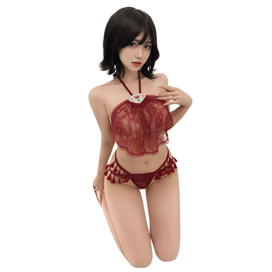 Sensual Chinese Style Sheer Lace Lingerie Set for Women - Embroidered Halter Top & Bikini Bottoms for Date Night