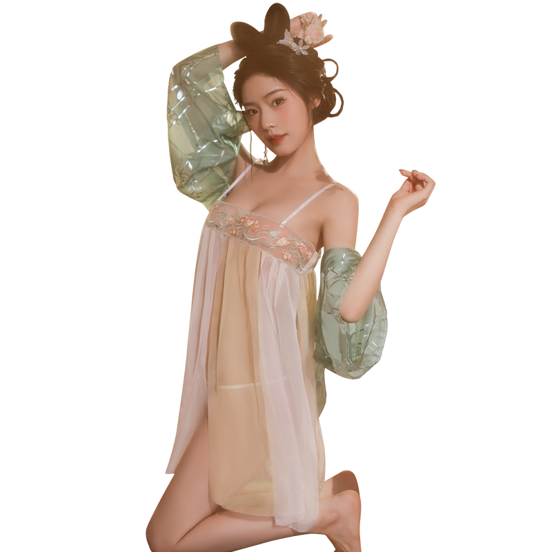 Sensual Tang Style Embroidered Hanfu Lingerie | Sheer Gauze Mini Dress & Sleeves | Erotic Hanfu Lingerie Set with Sheer Sleeves